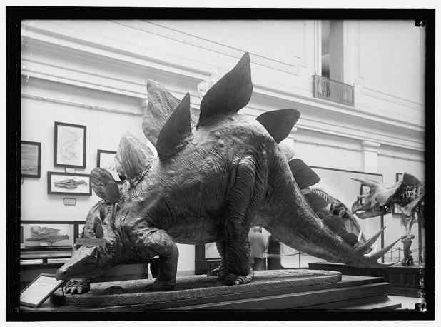 Dinosaur Smithsonian_Library of Congress