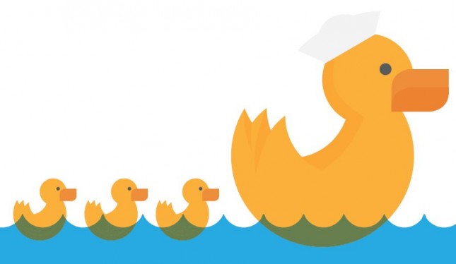 Ducks In A Row_Visually Guide (1)