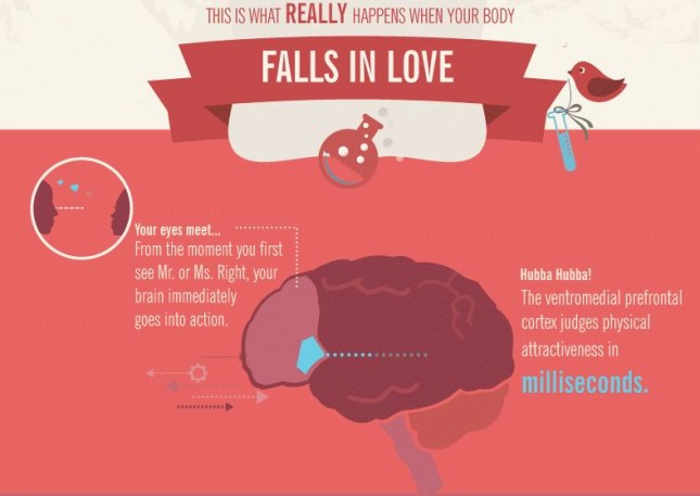 Best Infographic Nominee: 15_Propoint_This Is Your Body In Love