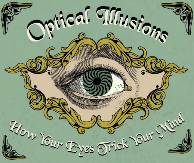 2015's Best Infographics: 2_Supersavers Opticians_Optical Illusions